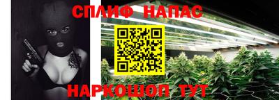 каннабис Новокубанск