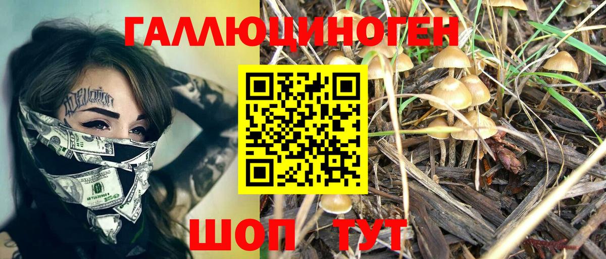 Галлюциногенные грибы Magic Shrooms Пугачёв