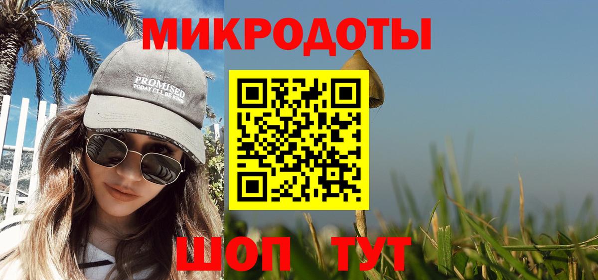 Пугачёв  Псилоцибиновые грибы MAGIC MUSHROOMS  Вход с VPN 