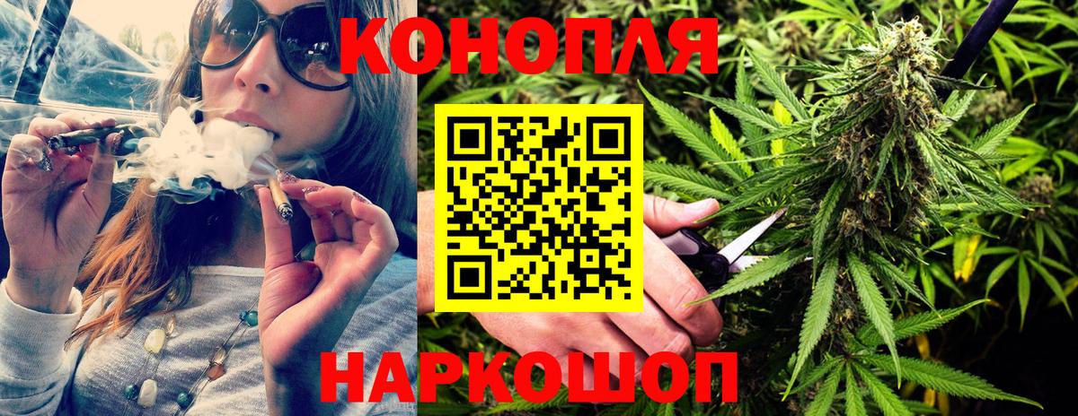 Канабис конопля Пугачёв
